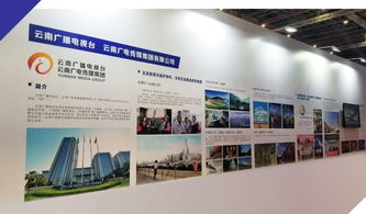 云南IPTV闪耀第二届长三角文博会，数字创意赋能文化新体验